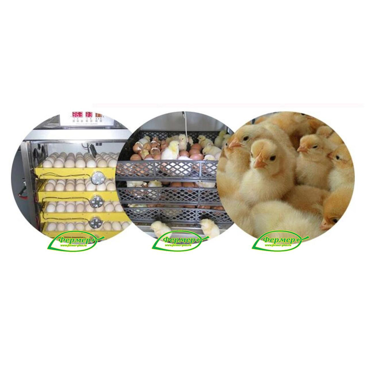 самогонный аппарат бидон молочный 20. фермер благовещенск. фермер плюс. фермер плюс. я плюс фермер , якутск магазин.